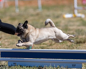 Turbo Cirbassi