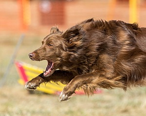 20160619-CCKC-1785.jpg