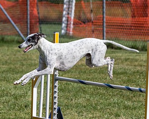 20200819-0719.jpg