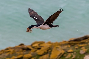 20191210-0084.jpg