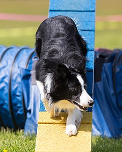 20160514-NEAT-1136.jpg