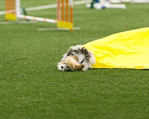 20150322-LEAP-0026.jpg