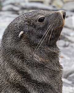 20260319-0066.jpg