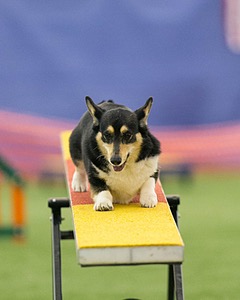 20150321-LEAP-1828.jpg