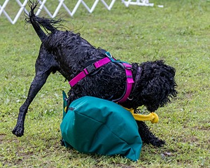 "Rory" & Patti