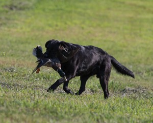20140809-JHL-0011.jpg