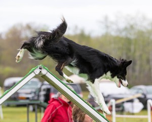 20160515-NEAT-0387.jpg
