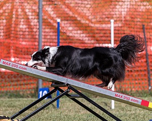 20200819-2247.jpg
