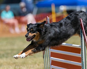 20150613-CCKC-0138.jpg