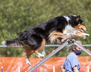 20200819-2452.jpg