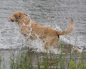 20080531-HRW-0018.jpg