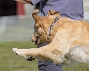 20230916-PVKC-1343.jpg