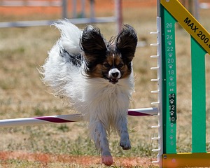 20160618-CCKC-1872.jpg