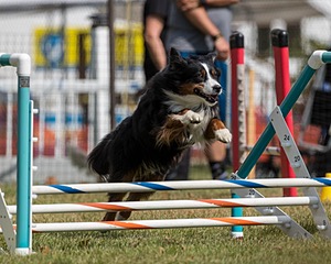 20200819-1075.jpg