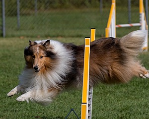 20200819-0666.jpg