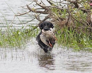 20080531-HRW-0608.jpg