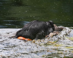 20130810-JHW-0320.jpg