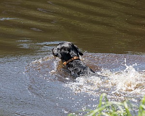 20130601-SHRW-0549.jpg