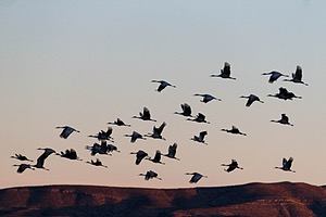 20151205-1042.jpg
