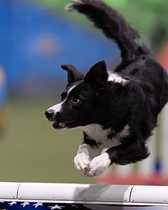 20260221-0236.jpg