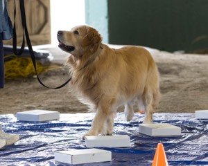 20260718-NSKC-0149.jpg