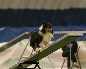 20150321-LEAP-1349.jpg