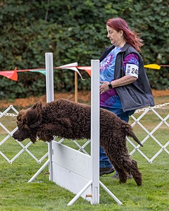 2401 - CAT'S' RUSTY CHARLIE RI CGC TKA (Dugan)