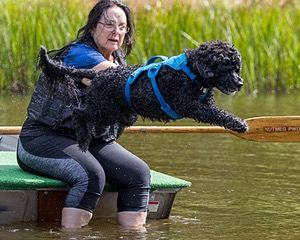 "Fenwick" and Janet
