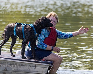 Boaty Bellicose