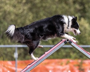 20200819-2241.jpg