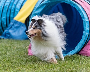 20200819-1905.jpg