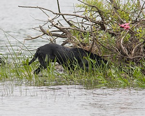 20080531-HRW-0607.jpg