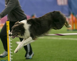 20150321-LEAP-0609.jpg