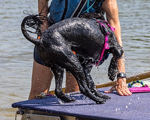 Rory Cox