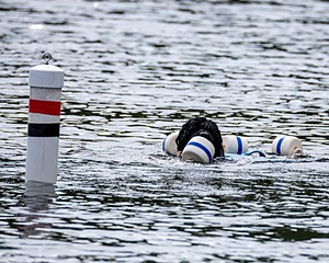 Boaty Bellicose