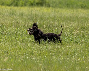20220613-WD-0201.jpg