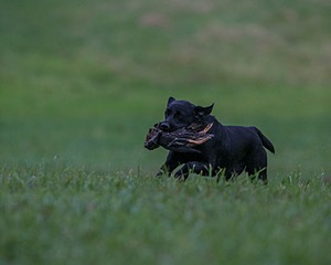 20150913-SEAL-0342.jpg