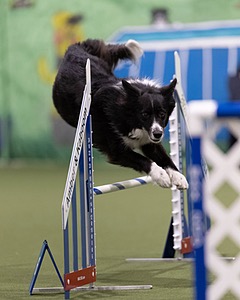 20260221-0108.jpg