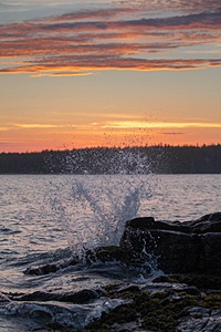 20180708-1122.jpg