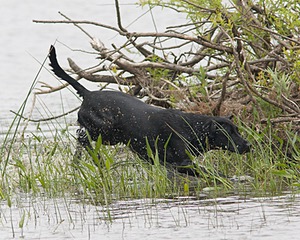 20080531-HRW-0807.jpg