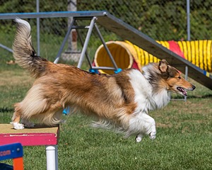 20200819-0899.jpg