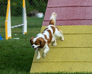 20200819-0101.jpg