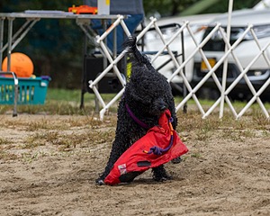 20210912-MWD-0119.jpg