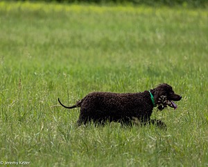 20220613-WD-0372.jpg