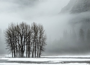 Yosemite National Park