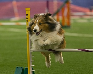 20150321-LEAP-1388.jpg