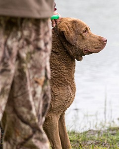 Hunter Law