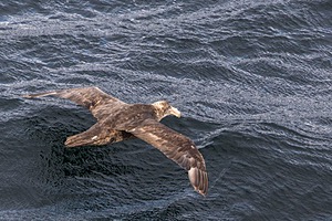 20260325-0039.jpg