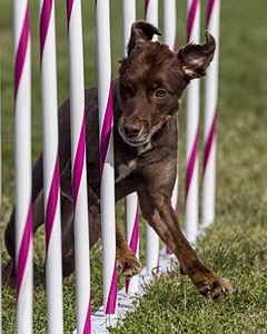 20230916-PVKC-1305.jpg