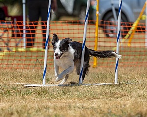 20160619-CCKC-1067.jpg